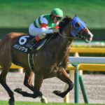一口馬主の楽しさ〜自然と強まる出資者同士の一体感〜