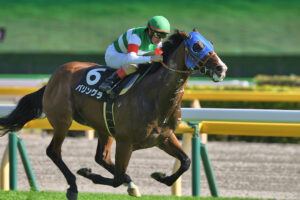 一口馬主の楽しさ〜自然と強まる出資者同士の一体感〜