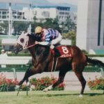 距離不安を一掃　桜の女王が魅せた華麗な舞い～1997年･ローズS～