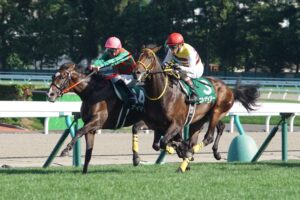 夏の終わりに火花を散らせ - 2018年札幌2歳S・ニシノデイジー＆ナイママ