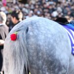 古今東西、競馬場のオシャレ番長を探せ!