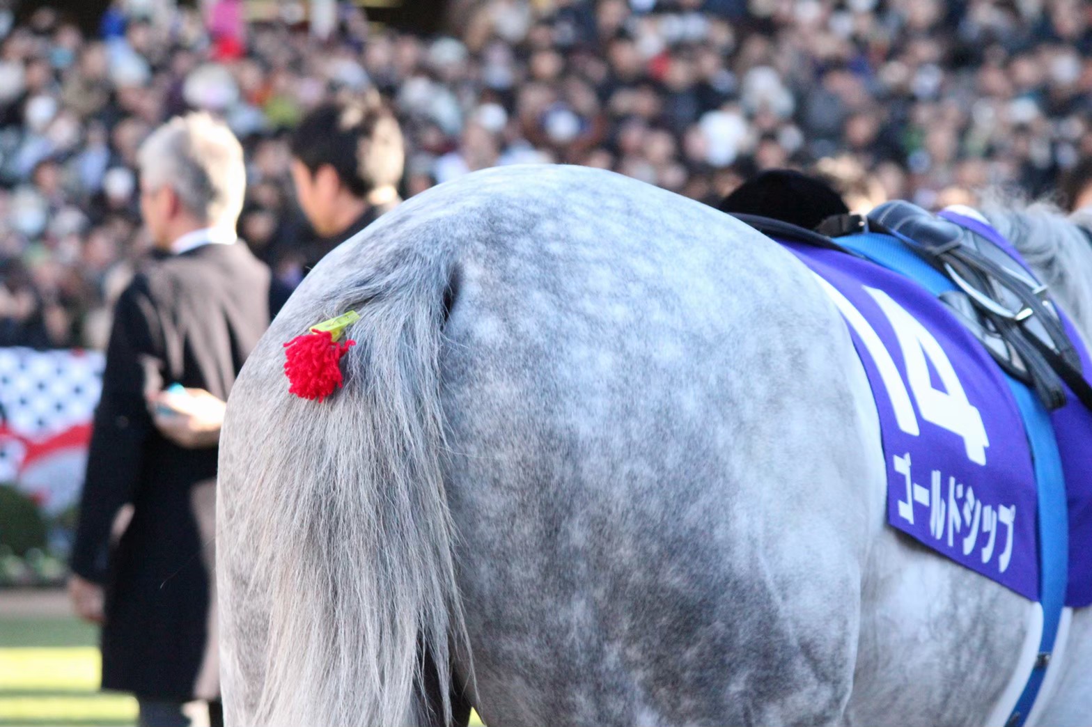 古今東西、競馬場のオシャレ番長を探せ！