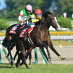 ［対談］熾烈なマイル種牡馬たちの戦いに！？2021年デビュー新種牡馬について──治郎丸敬之×緒方きしん