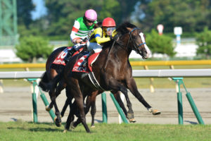 ［対談］熾烈なマイル種牡馬たちの戦いに！？2021年デビュー新種牡馬について──治郎丸敬之×緒方きしん