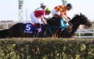 ［独占取材］石神騎手「思っていたより骨が細かく割れていた」