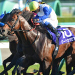 ［Rewind the race］龍王降臨～2013年・スプリンターズステークス～