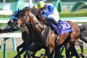 競馬　アイドルホース　「ロードカナロア」スプリンターズステークス　Sサイズ ロードカナロアが悲願のGI初制覇/スプリンターズS | 競馬