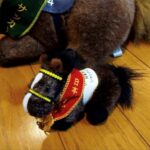 家宝級競馬アイテムを探せ!〜楽しい可愛い、ぬいぐるみ編〜