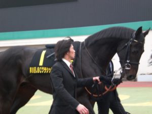 第8回JBC競走観戦記～園田で見た、ドバイへの夢