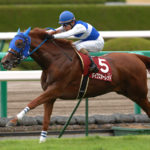 桜花賞馬vsダービー馬、永遠のライバル対決『第3章』2007年　秋華賞