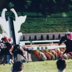 最大着差決着に、土砂降り決着に、レコード決着……　魅力溢れる「平成菊花賞史」