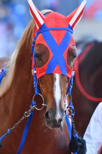 ［Rewind the race］最速駿馬～2014年・菊花賞～