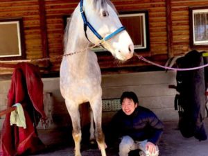 ［クラファン］引退馬を救え！マッシュルームスープから始まる引退馬支援