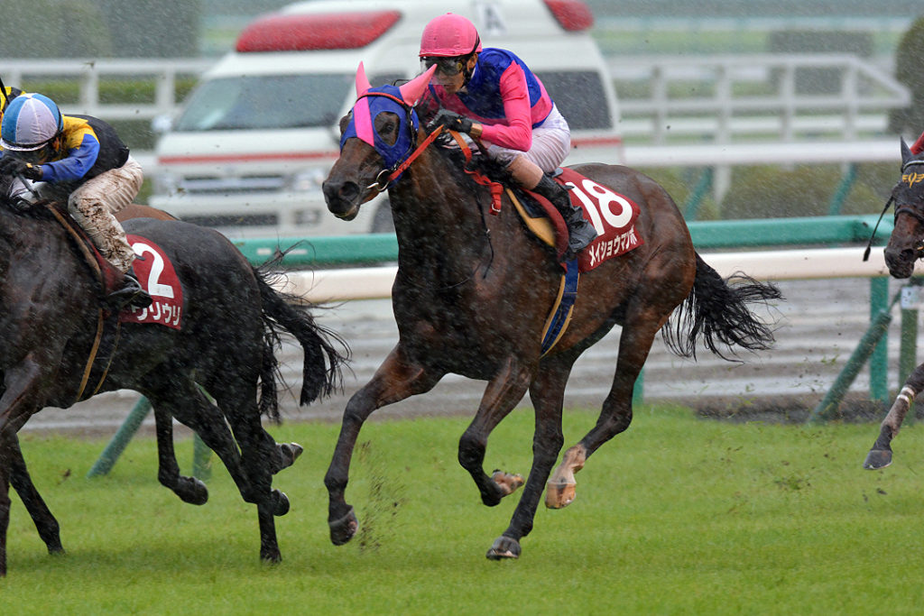 Rewind The Race 雨中之舞 13年 エリザベス女王杯 競馬コラム ニュース ウマフリ