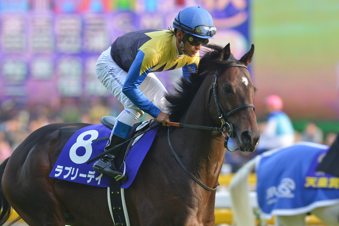 ラブリーデイ〜夢のかたまりから、血を継ぐものへ〜 | ウマフリ | 競馬 