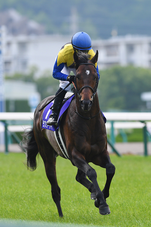 ラブリーデイ〜夢のかたまりから、血を継ぐものへ〜 | ウマフリ | 競馬 