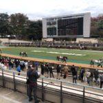 久しぶりの“競馬のため”の早起き~競馬の良さを再認識した1日