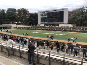 久しぶりの“競馬のため”の早起き~競馬の良さを再認識した1日