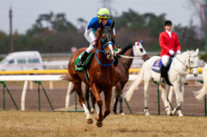 秋桜の咲く頃に〜2011年・福島記念〜