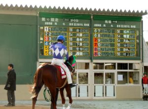 ［追悼記事］沈黙の北國王冠〜園田の総大将・タガノゴールド〜