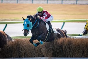 ［石神深一ブログ］復帰戦はコウキチョウサンで勝利！　週末はオジュウと京都JSへ。