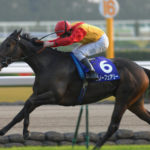 日本の競馬ファンを震撼させた脅威の末脚〜 2010年・エリザベス女王杯〜