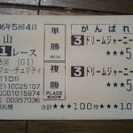 あの日、君が軽く飛んだから~ドリームジャーニー・2006年朝日杯FS〜