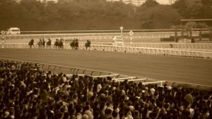 中央競馬(JRA)年度代表馬【1983年度～1998年度】写真16枚セット 中央競馬(JRA)年度代表馬【1983年度～1998年度】写真16枚セット