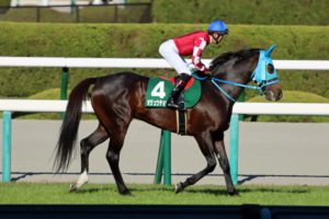 ［石神深一ブログ］オジュウチョウサンの敗北について。