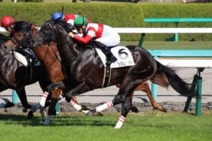 ［新馬戦振り返り］メイクデビュー勝ち馬紹介 2020/11/14,15