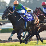 ［Rewind the race］京都之神～2013年・マイルチャンピオンシップ～