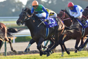 ［Rewind the race］京都之神～2013年・マイルチャンピオンシップ～