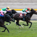 「競馬の楽しさ」「競馬の奥深さ」が感じられる！　一口馬主の魅力。
