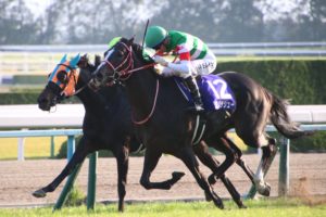 雷神と百合、得難き出会い〜2018年エリザベス女王杯・リスグラシュー〜