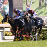 ウインブライト&松岡正海騎手〜相思相愛の人馬が描いた奇跡〜