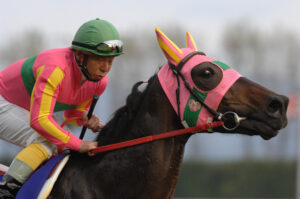 ［牝系図鑑］成長力と持続性能が自慢。伝説のエリザベス女王杯の立役者テイエムプリキュアを輩出したデリケートアイス牝系。