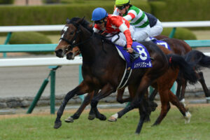 ［Rewind the race］絢爛華麗～2013年・阪神ジュベナイルフィリーズ～