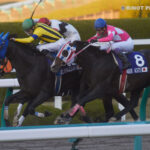 ［Rewind the race］砂塵邁進～2013年・ジャパンカップダート～