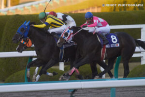 ［Rewind the race］砂塵邁進～2013年・ジャパンカップダート～