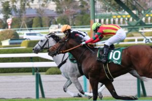［重賞回顧］1200mで覚醒したオーストラリアの血〜2020年・京阪杯〜