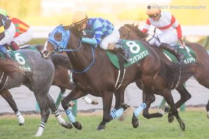 ［重賞回顧］晩秋から巣立つ２歳馬たち〜2020年・京都２歳ステークス〜