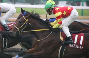 ［重賞回顧］名牝系に新たな重賞馬が誕生〜2020年・ステイヤーズステークス〜