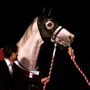 夜空にいななく　ゴールドシップ引退式