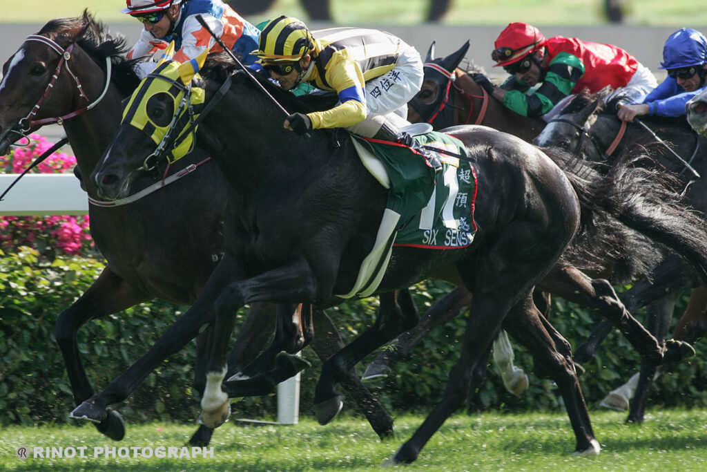 シックスセンス 最強の1勝馬が 最後に見せた激走 競馬コラム ニュース ウマフリ