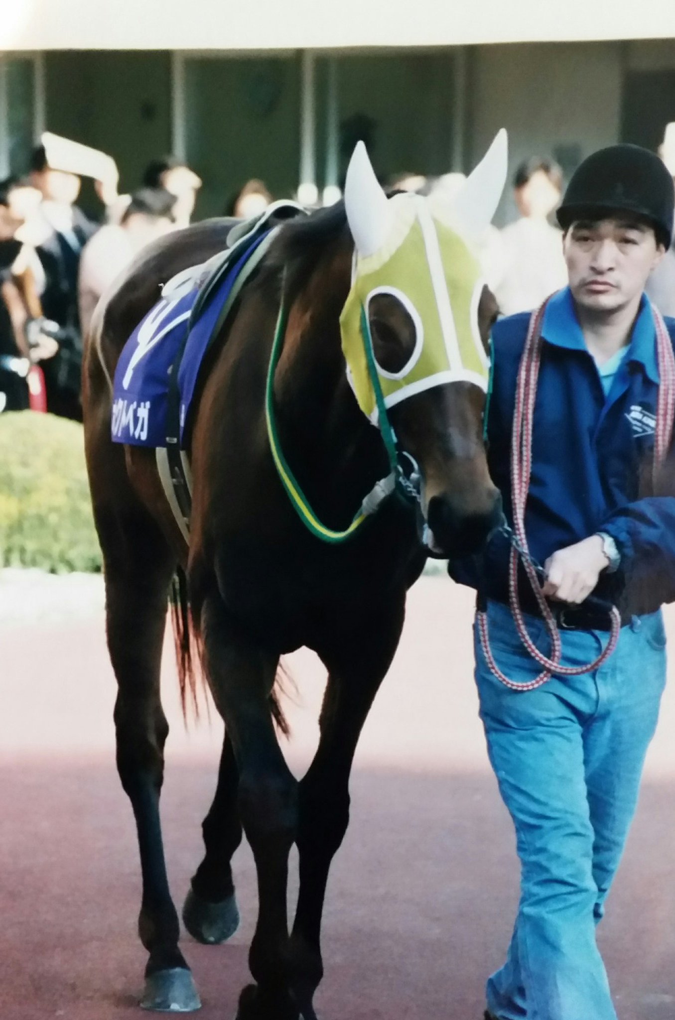 砂上の女神が魅せた圧勝劇～1995年エンプレス杯～