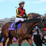 ワンミリオンス〜四連勝で掴みかけた「女王」の座〜