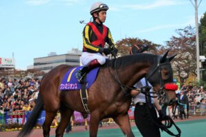 ワンミリオンス〜四連勝で掴みかけた「女王」の座〜