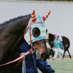 同「厩」生と交わした約束~エリモダンディー・シルクジャスティス〜