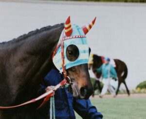 同「厩」生と交わした約束～エリモダンディー・シルクジャスティス〜
