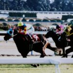 ［名馬フィクション］午前６時。いま、きみのいる場所。 - エリモダンディー、シルクジャスティス